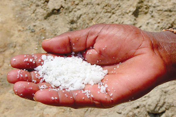 ارز مبادلهای، پتاس وارداتی را ارزانتر کرد ارز مبادلهای، پتاس وارداتی را ارزانتر کرد