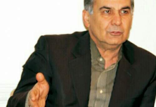 فرزاد ارزانی مدیرعامل فولاد هرمزگان شد