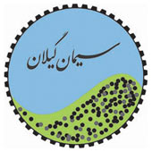 شرکت سیمان گیلان سبز پیشرو در کاهش مصرف انرژی