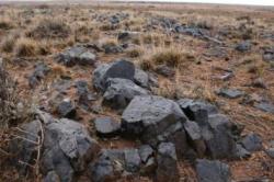 دستور شریعتمداری برای تعیین تکلیف عوارض صادرات سنگآهن دستور شریعتمداری برای تعیین تکلیف عوارض صادرات سنگآهن