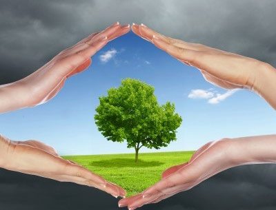 آغاز کاشت ۱۲۵۰ اصله نهال به مناسبت روز درختکاری در مجتمع فولاد صنعت بناب آغاز کاشت ۱۲۵۰ اصله نهال به مناسبت روز درختکاری در مجتمع فولاد صنعت بناب