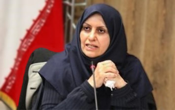 یک خودروی داخلی استانداردهای ۸۵ گانه جدید را پاس کرد