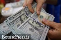 ۱۶ قدم واردکنندگان برای انتخاب صرافی‌ها در نیما