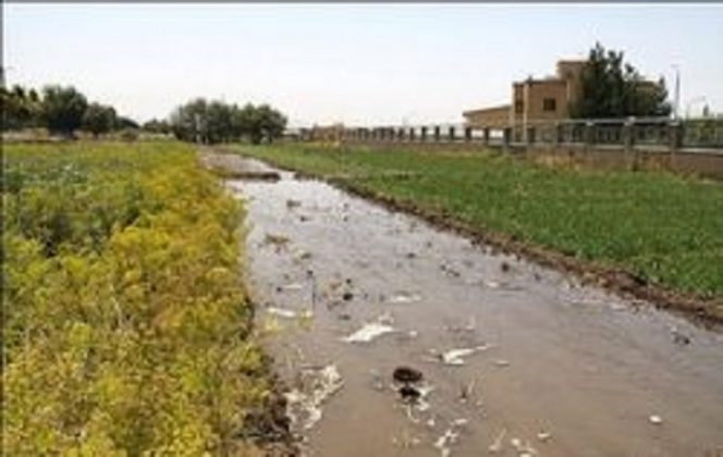 شکایت محیط زیست از پالایشگاه تهران/ ماجرای سبزی های نفتی پایتخت به کجا رسید؟