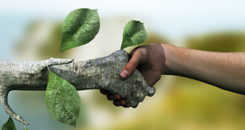 تغییرات سبز در اجرای پروژه سبز
