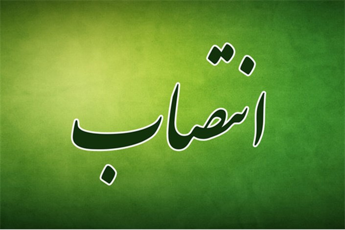 نماینده شرکت سرمایه گذاری توسعه معادن و فلزات در هیات مدیره گل گهر معرفی شد