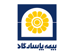 ۸۰ درصد از نمایندگان فروش بیمه عمر در کشور مربوط به پاسارگاد است