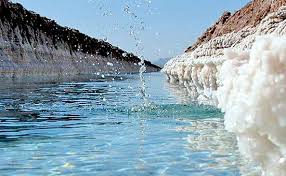 کارشناسان پتاس خور و بیابانک در کویر طرود سمنان پیدا شدند کارشناسان پتاس خور و بیابانک در کویر طرود سمنان پیدا شدند