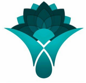 درج ۵ نماد اسناد خزانه اسلامی در سامانه پس از معاملات