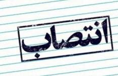 رییس کل سازمان توسعه تجارت ایران منصوب شد
