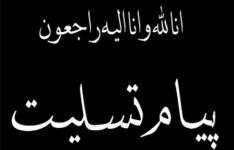 پیام تسلیت وزیر صمت در پی درگذشت ابوالقاسم شفیعی، رئیس انجمن سنگ ایران