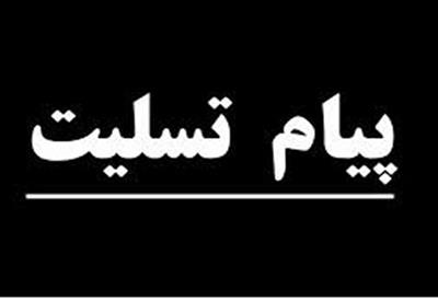 پیام تسلیت وزیر اقتصاد به مناسبت درگذشت مدیر عامل بانک مسکن