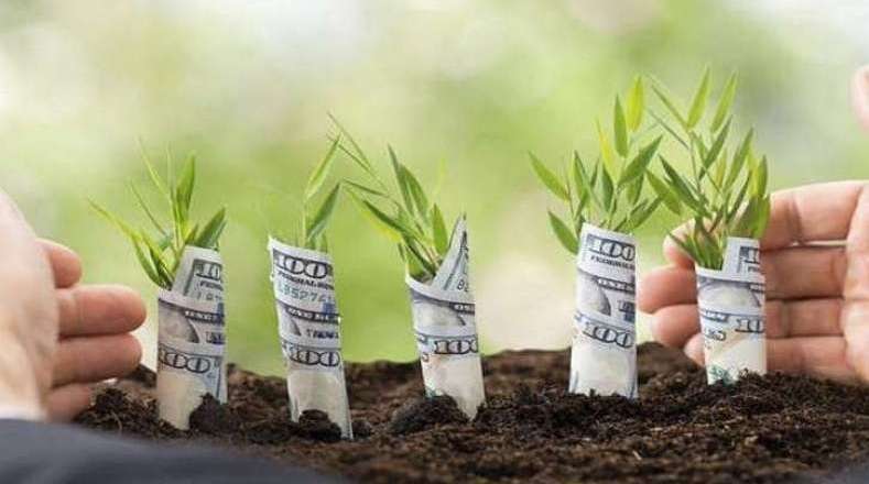 ۳گانه "نه" برای سرمایه‌گذاری در بازار ارز