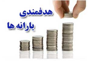 پیگیری تفحص از نحوه اجرای قانون هدفمندی یارانه‌ها در مجلس یازدهم