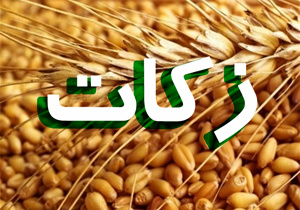 پرداخت زکات معادن نیازمند توجه جدی است