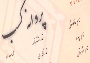 صدور بیش از 1400 فقره پروانه کسب صنفی در خراسان جنوبی