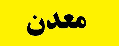دولت همراه تشکل‌های معدنی نیست