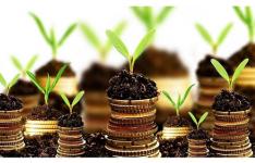 افزایش 4 برابری حجم سرمایه گذاری صنعتی در ایلام