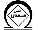 "کسعدی" در مجمع تصمیم می‌گیرد