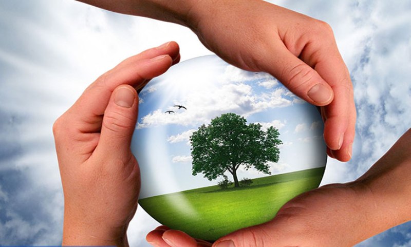 فعالیت معدنی نباید باعث اختلال در محیط زیست و منابع طبیعی شود فعالیت معدنی نباید باعث اختلال در محیط زیست و منابع طبیعی شود