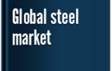 We Will Promote Iran’s Position in the Global Steel Market