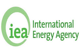 IEA: High Oil Prices Hurt Consumers, Dent Demand
