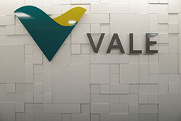 Vale doubles down on nickel ahead of EV revolution