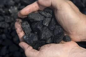 India Imports First Non-Coking Coal Cargo from New Zealand