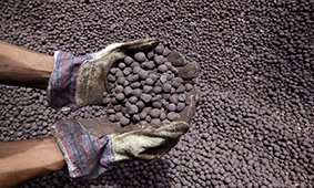 Indian Pellet Exports Up 46% in Jan