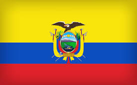 SolGold shares soar after Ecuador court dismisses call for referendum on mining