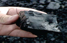 BC coalfields may be a source of rare earths