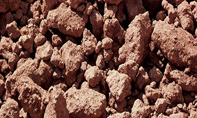A joint research to turn bauxite residue into fertile soil receives a special recognition