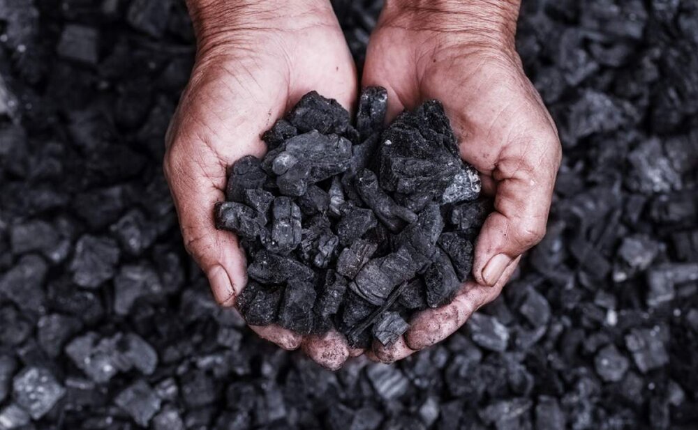 Coal concentrate output up 13% in a month on year