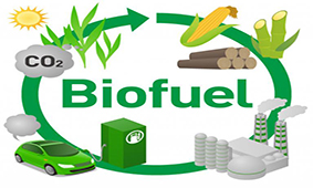 Q&A: UK Oftec recommends biofuels for off-grid heating