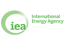 Global refinery throughput to decline in 2020: IEA
