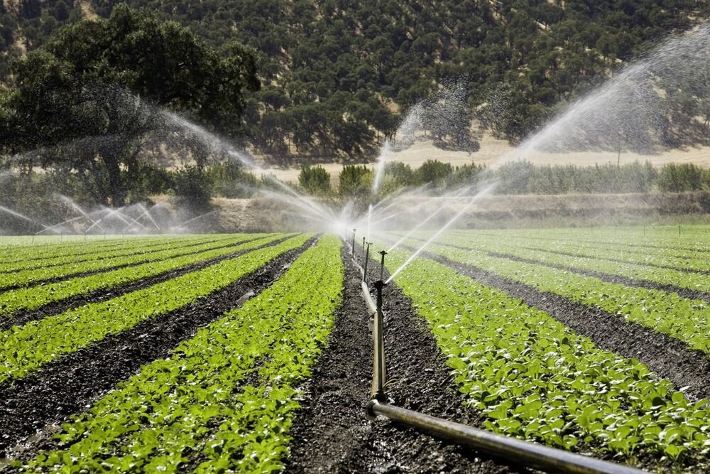 Next year’s budget bill allocates €200m to pressurized irrigation, watershed management