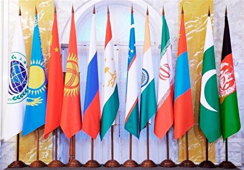 SCO membership to facilitate Iran’s foreign trade: TPO head