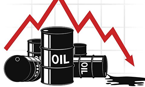 Iranian heavy crude oil price falls 3.6% in August: OPEC