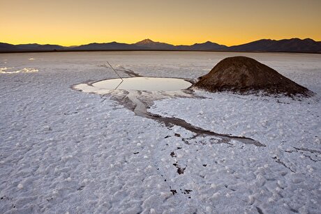 Chile’s rare salt flat fish faces threat from lithium mining project