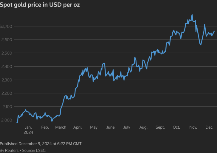 Gold price could extend record run into 2025, Heraeus says