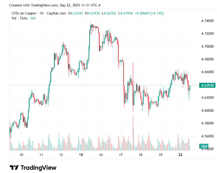 Copper price holds steady amid Grasberg supply risks