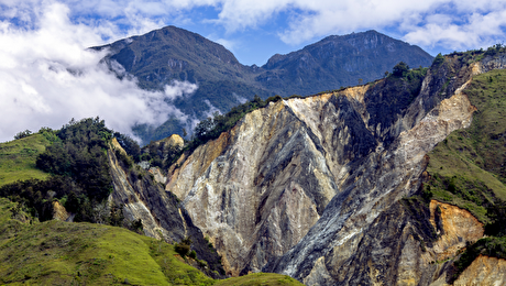 Harmony Gold considers Papua New Guinea copper venture with Newmont