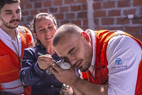Collective extends Apollo gold system in Colombia