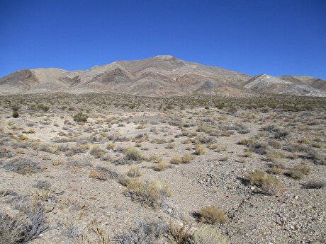 Australia’s Locksley receives $190M EXIM funding interest for California antimony project