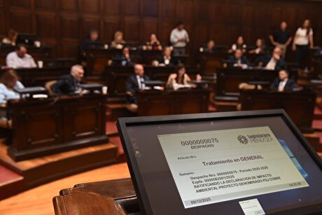 Argentina’s Mendoza province approves $559M copper mine