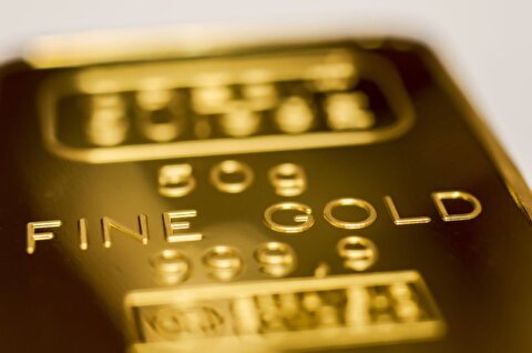 Gold price steadies after new record high