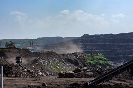 India urging firms to acquire overseas iron ore, coking coal assets