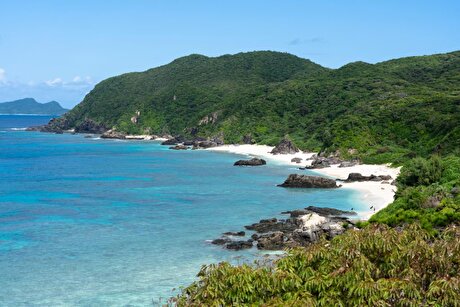 Japan to test mine seabed mud for rare earths