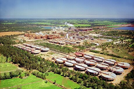 Alcoa to pay $39 million after illegally clearing Australian native forest