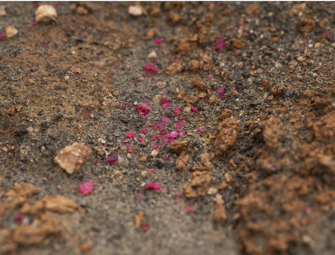 Syrah Resources: Navigating Africa's Resource Nationalism Syrah Resources: Navigating Africa's Resource Nationalism